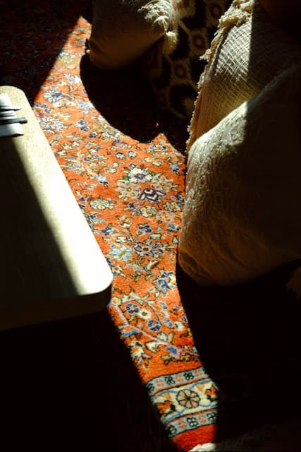 Détail d'un tapis persan et de coussins dans la salle, au soleil